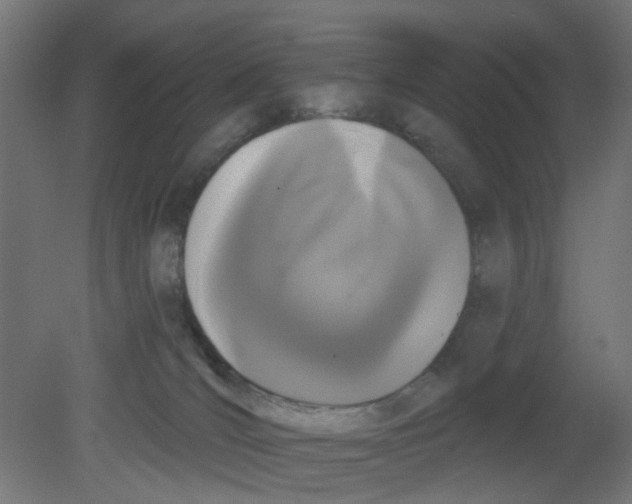 X0000080770036200701122107