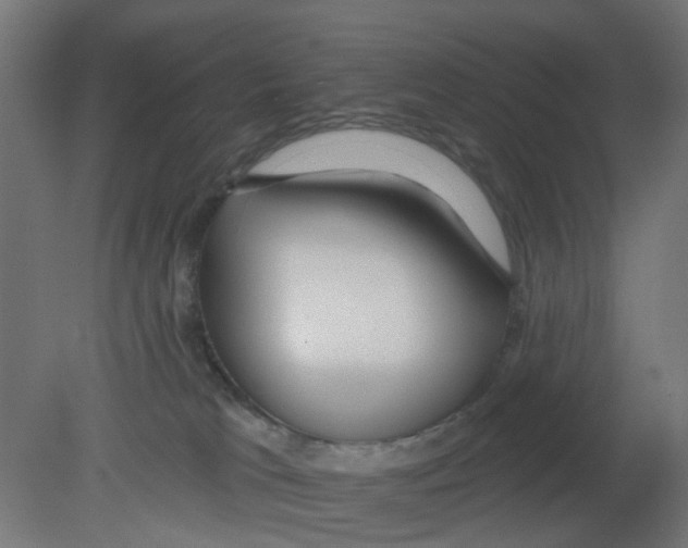 X0000080770037200701122107