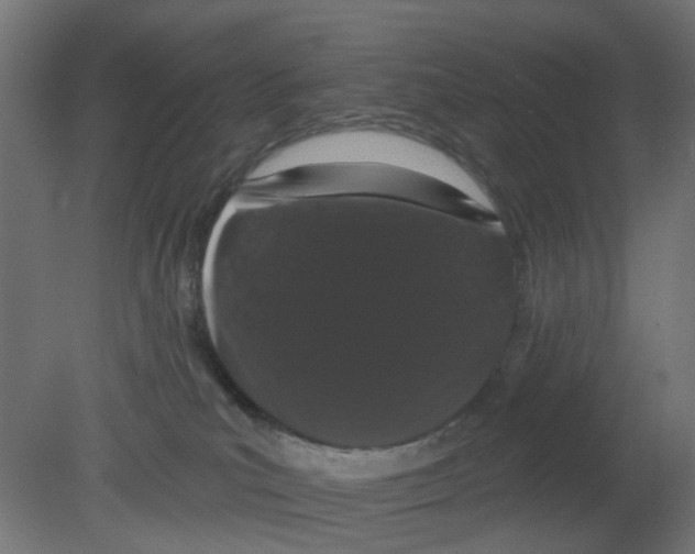 X0000080770039200701122107