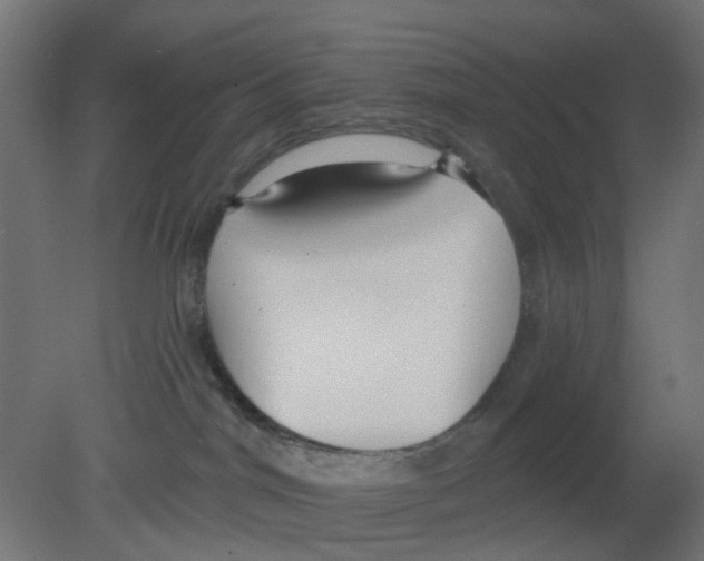 X0000080770044200701122107