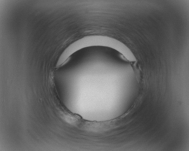 X0000080770045200701122107