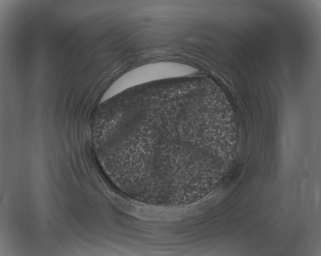 X0000080770048200701122107