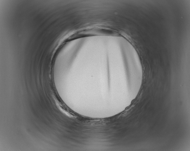 X0000080770050200701122106