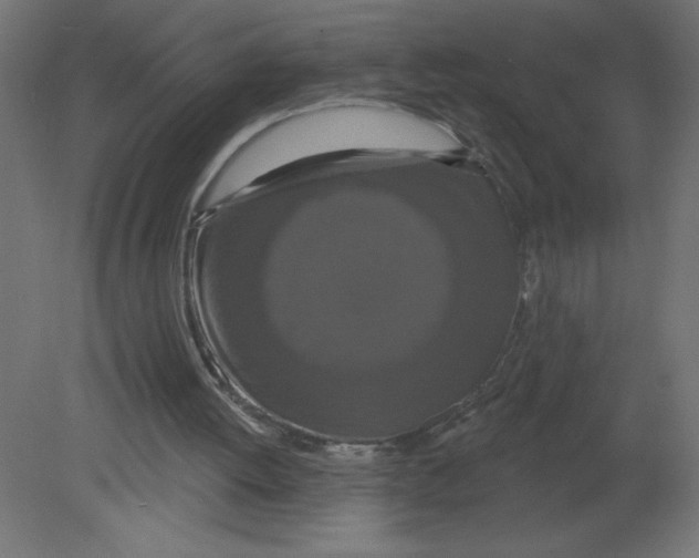 X0000080770052200701122106