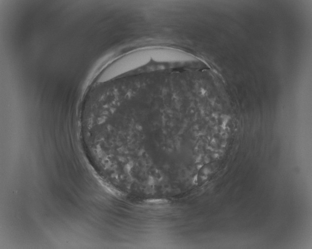X0000080770053200701122106