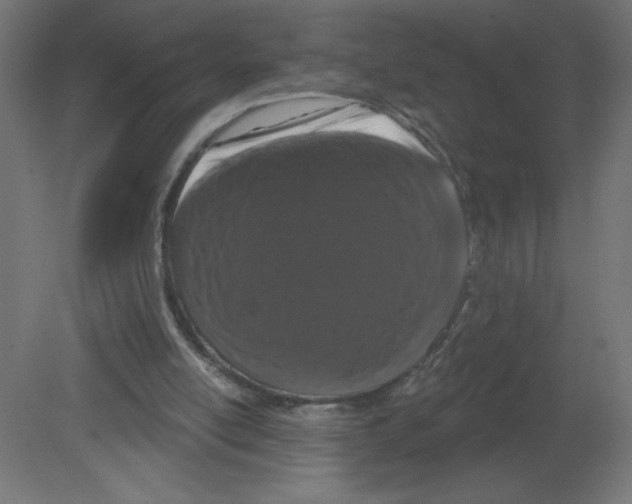 X0000080770054200701122106