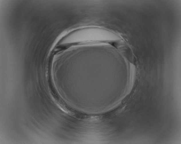 X0000080770056200701122106