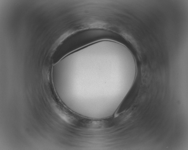 X0000080770060200701122106