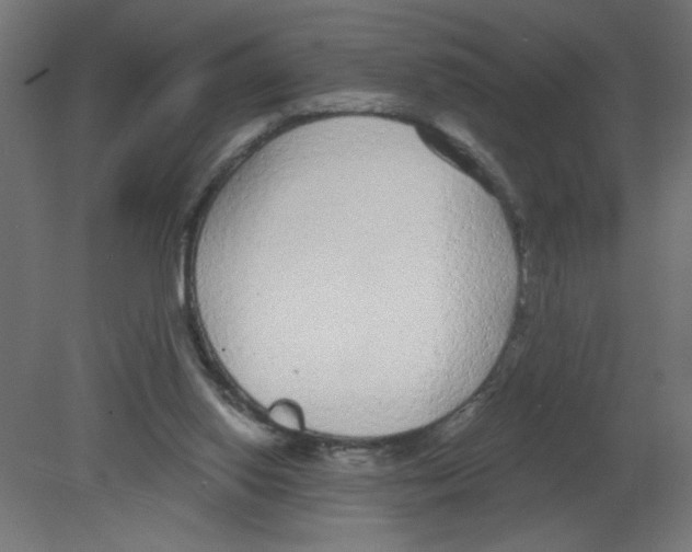 X0000080770062200701122106