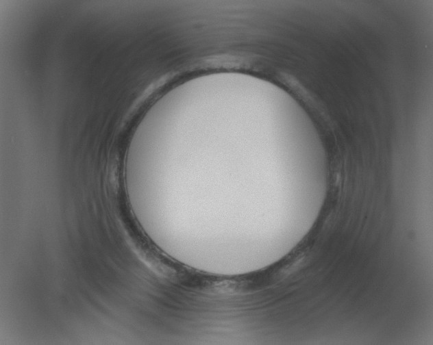 X0000080770064200701122106