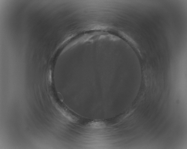 X0000080770067200701122106