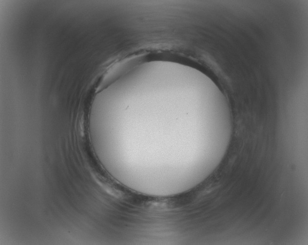 X0000080770068200701122106