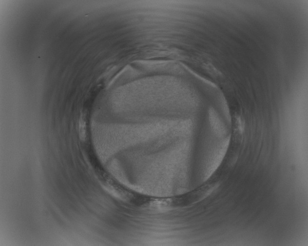 X0000080770080200701122106