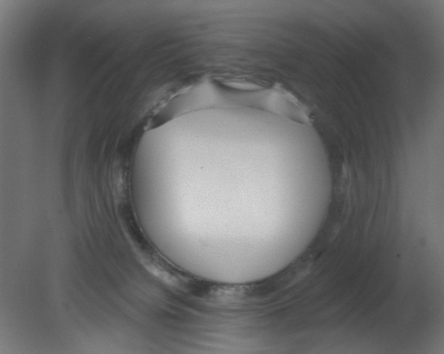 X0000080770084200701122106