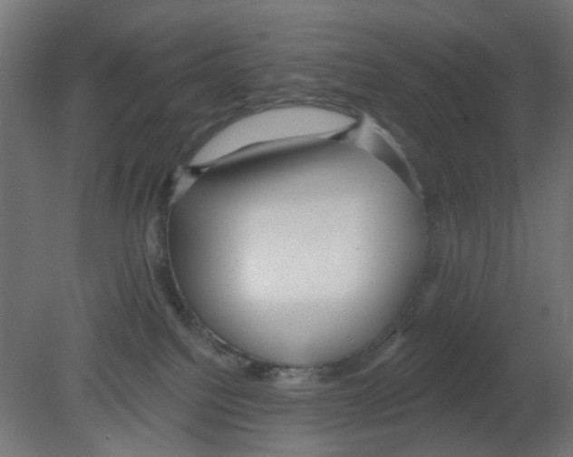 X0000080770088200701122107