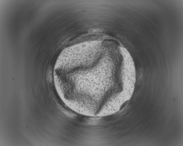 X0000080770090200701122107