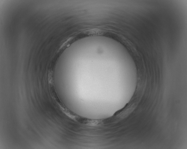 X0000080770096200701122107