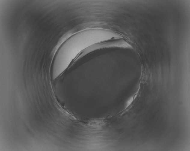 X0000080770099200701122106