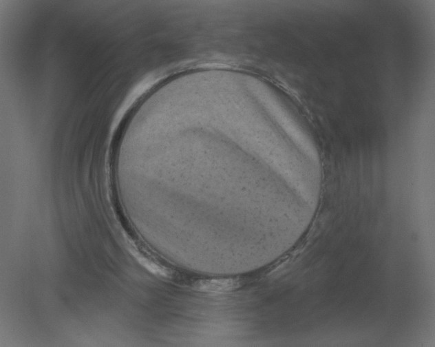 X0000080770102200701122106