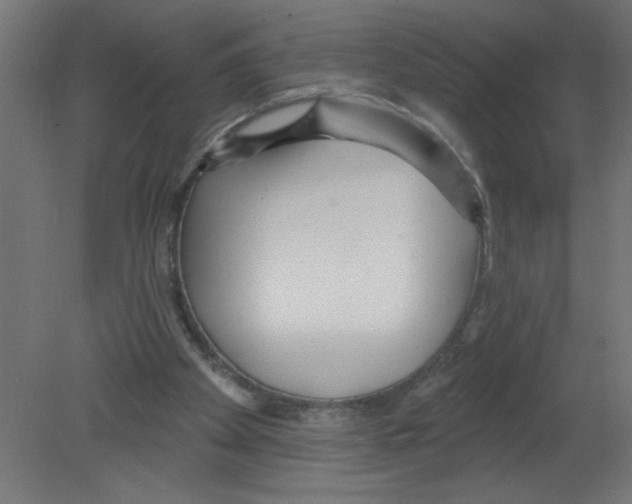 X0000080770105200701122106