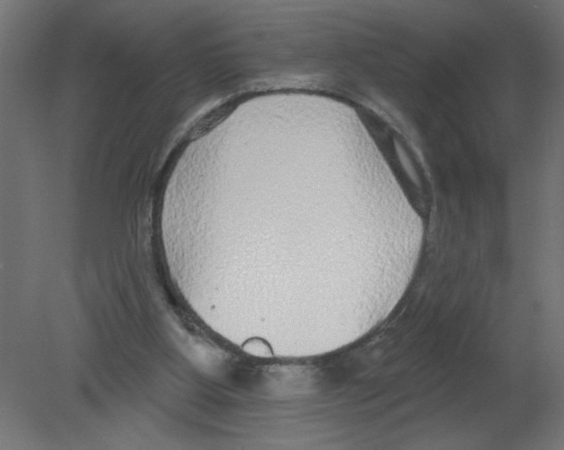 X0000080770107200701122106
