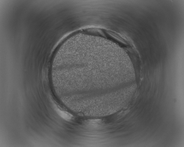X0000080770108200701122106
