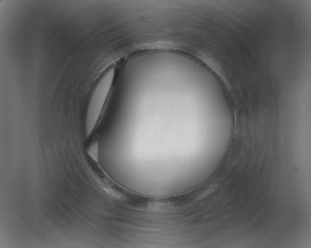 X0000080770109200701122106
