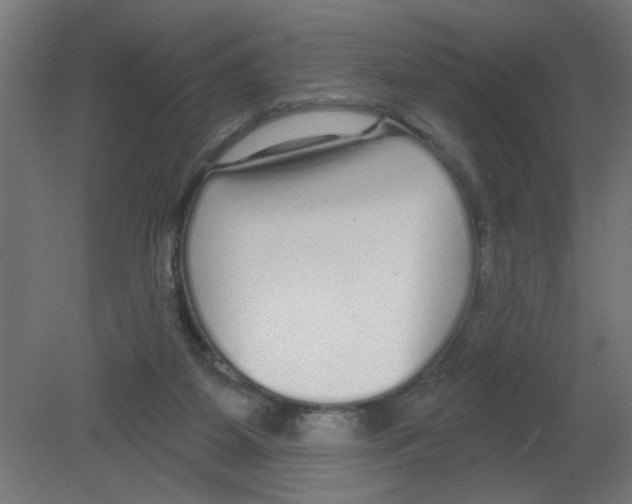 X0000080770115200701122106