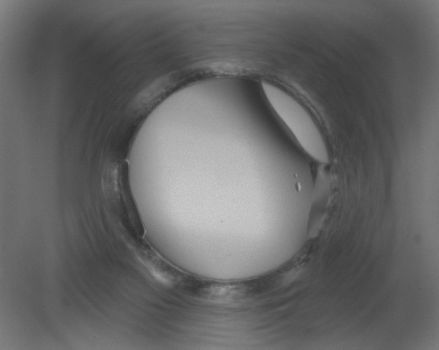 X0000080770117200701122106