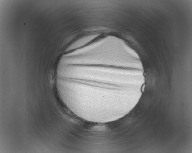 X0000080770119200701122105