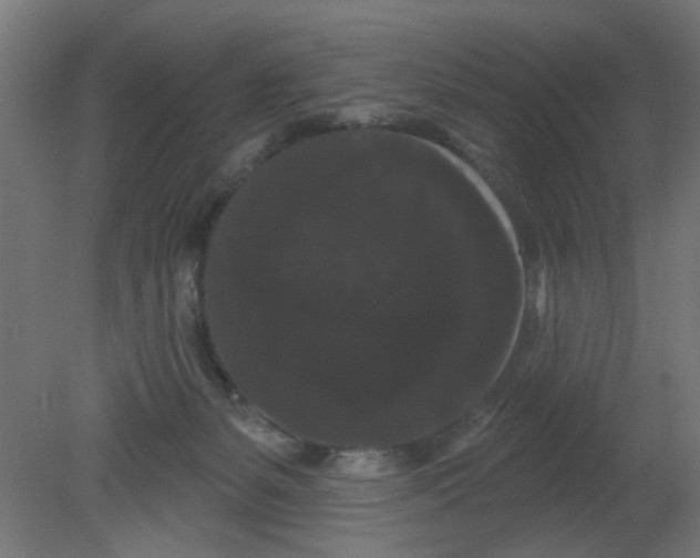 X0000080770127200701122105