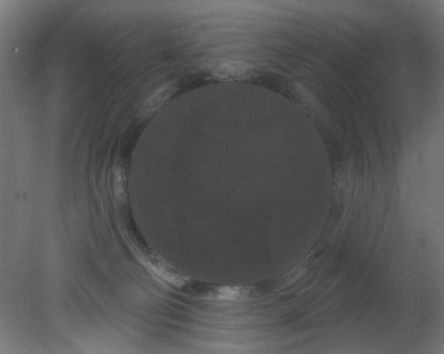 X0000080770130200701122105