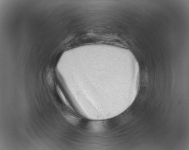 X0000080770131200701122105