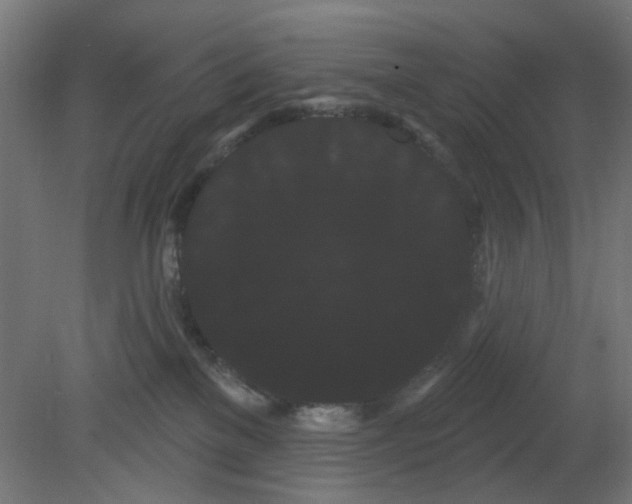 X0000080770137200701122105