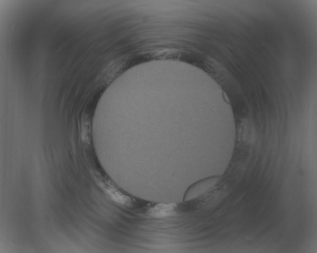 X0000080770138200701122105
