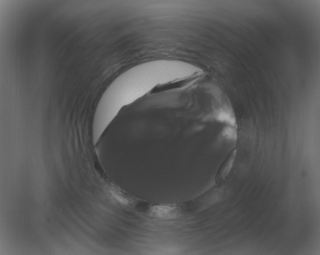 X0000080770139200701122105