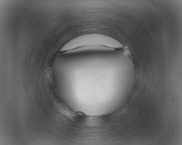 X0000080770141200701122105