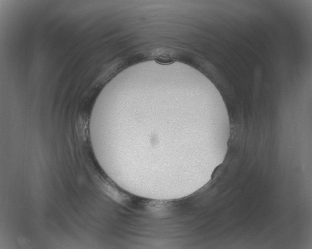 X0000080770142200701122105