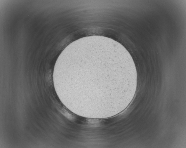 X0000080770144200701122105