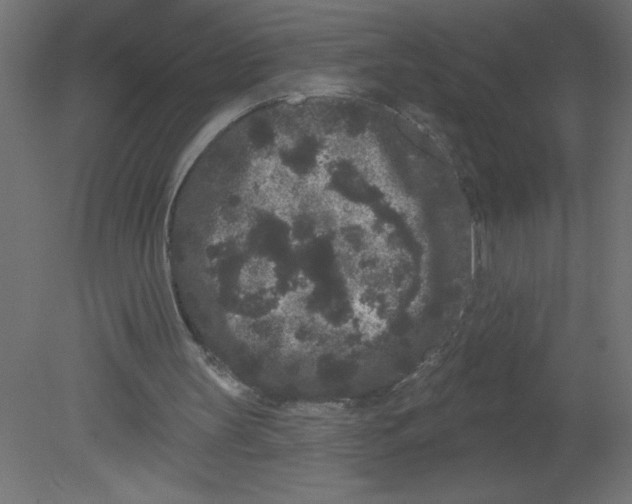 X0000080770147200701122104