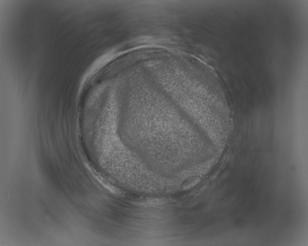X0000080770149200701122104