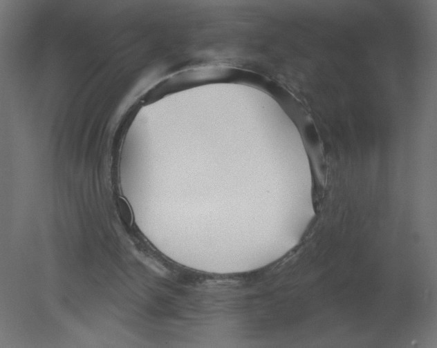 X0000080770150200701122104