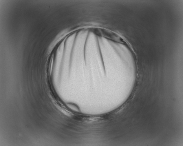 X0000080770151200701122104