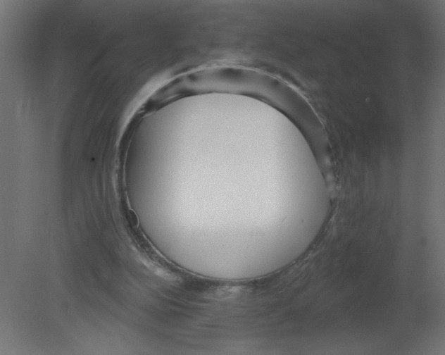 X0000080770152200701122104
