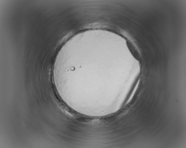 X0000080770153200701122104