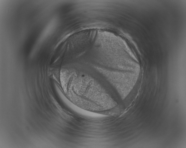 X0000080770154200701122104