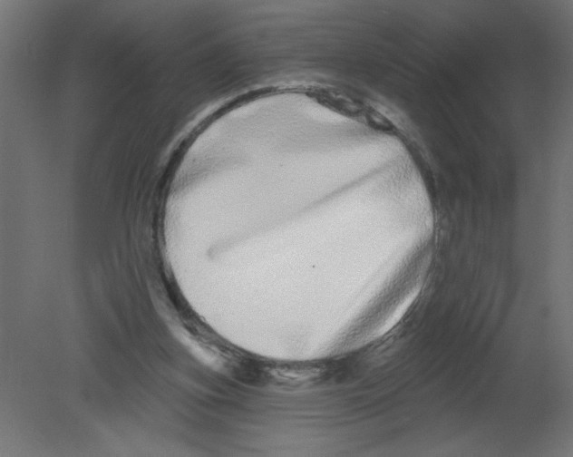 X0000080770155200701122104