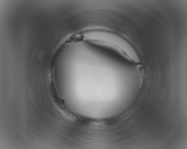 X0000080770160200701122104