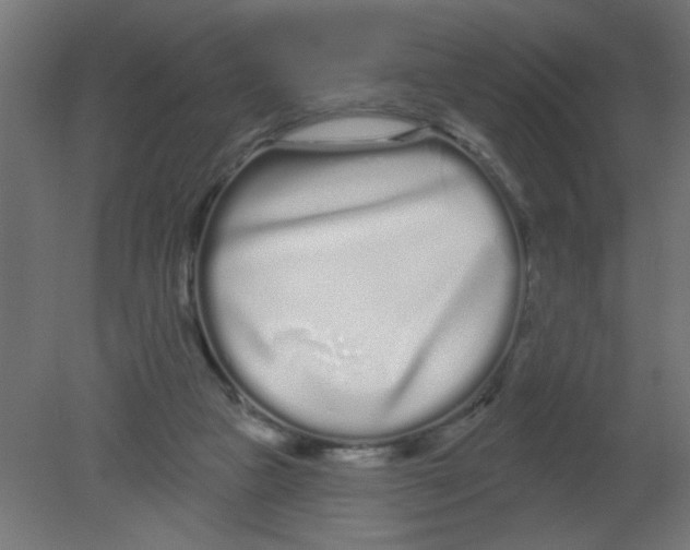 X0000080770161200701122105