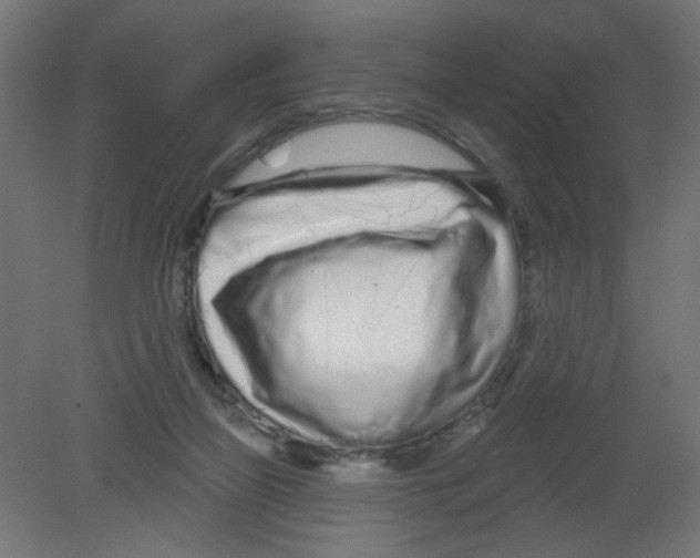 X0000080770165200701122105